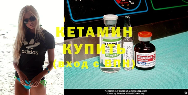 шишки Коряжма