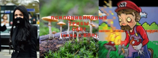 скорость Ладушкин