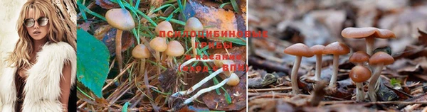 скорость Кукмор