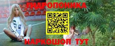 сатива Апшеронск