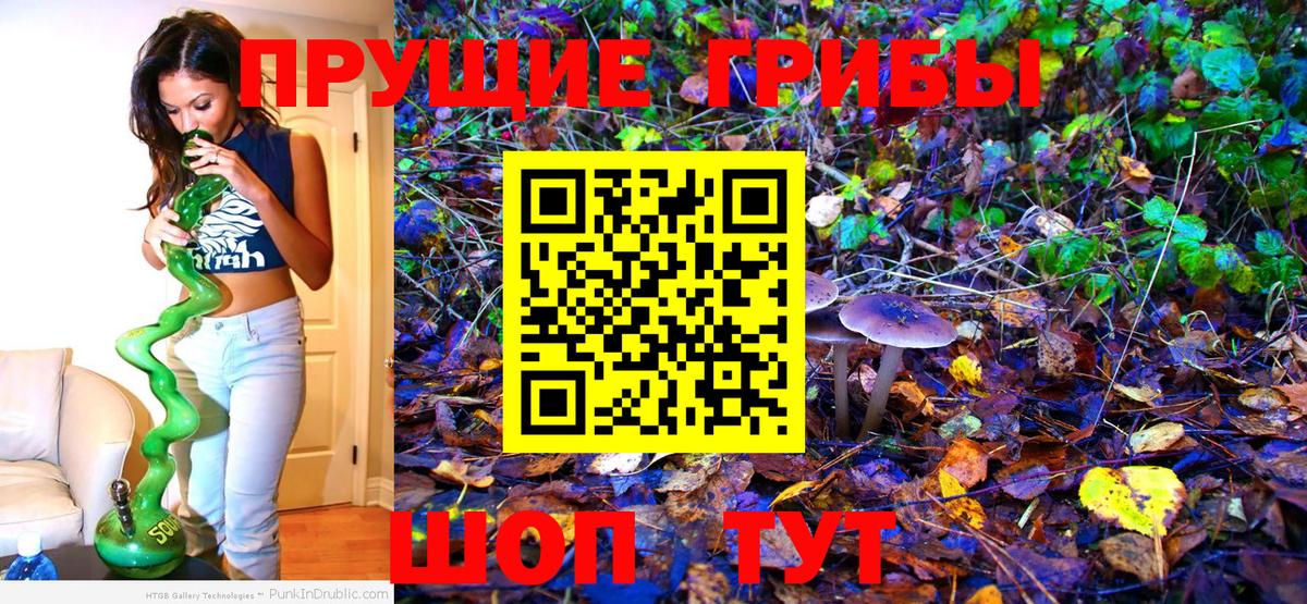 Псилоцибиновые грибы мухоморы  Клинцы 