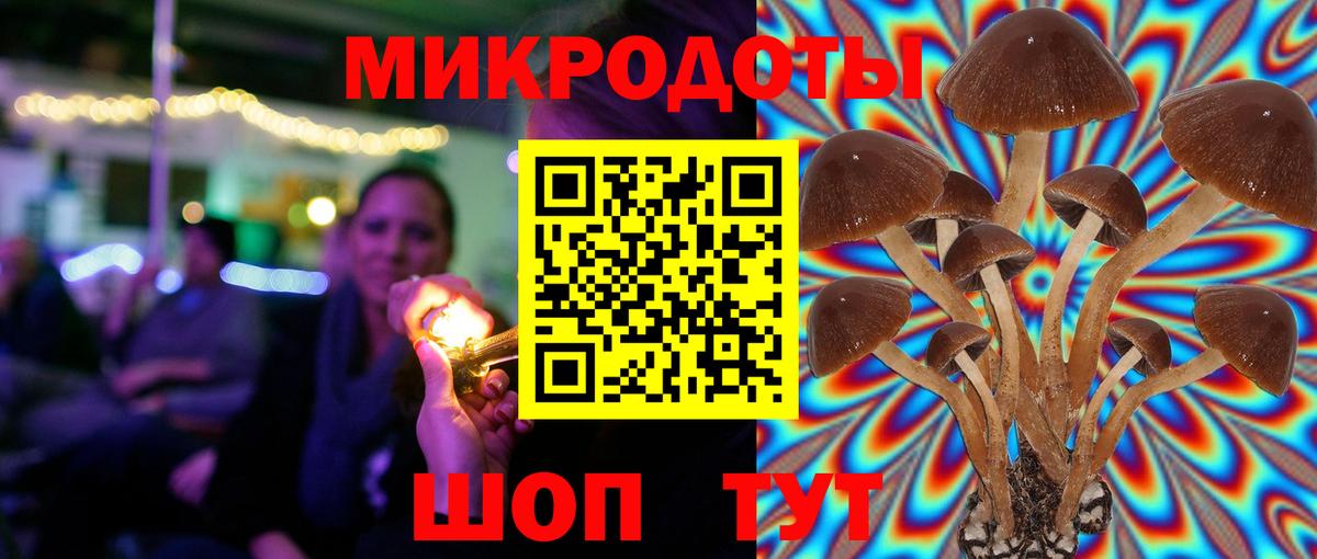 Галлюциногенные грибы Psilocybe Клинцы